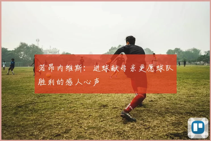 若昂内维斯：进球献母亲更愿球队胜利的感人心声